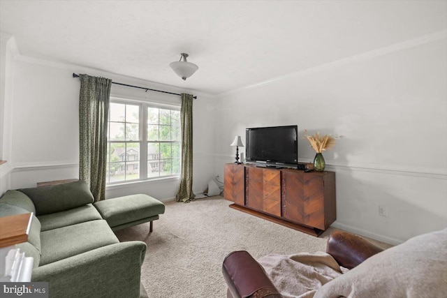 144 Falcon Trl, Winchester, VA 22602 - carpeted living area featuring ornamental molding and baseboards