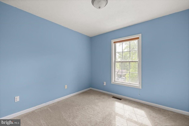 144 Falcon Trl, Winchester, VA 22602 - empty room featuring carpet floors and baseboards