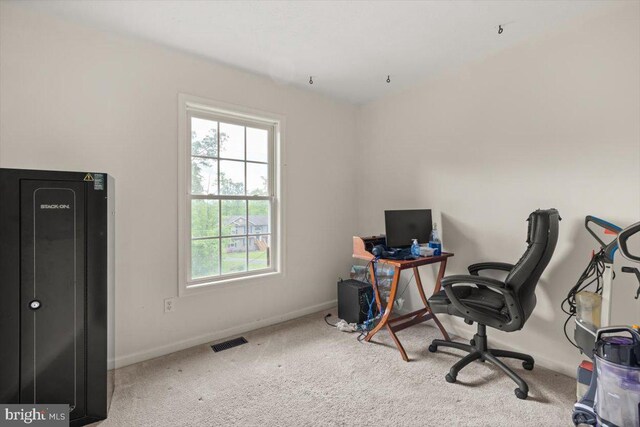 144 Falcon Trl, Winchester, VA 22602 - office with carpet floors and baseboards
