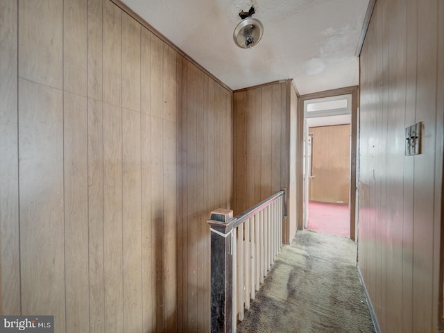820 Tuckerman St NW, Washington, DC 20011 - hall featuring wooden walls and carpet