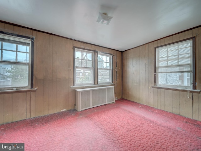820 Tuckerman St NW, Washington, DC 20011 - unfurnished room with radiator heating unit, plenty of natural light, carpet floors, and wooden walls