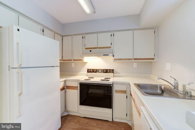 kitchen with white appliances, under cabinet range hood, a sink, light wood-style flooring, and light countertops