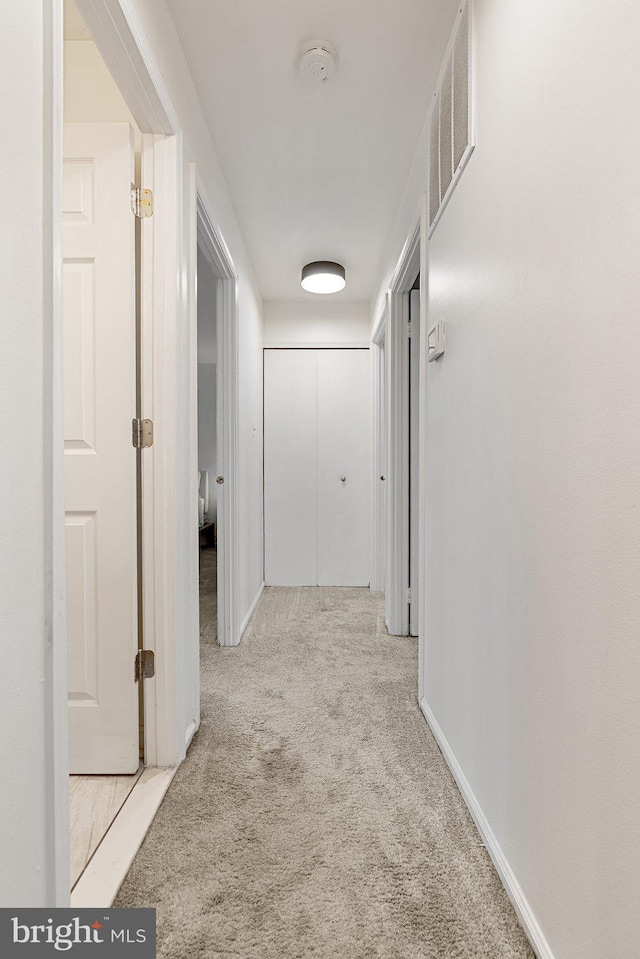 12821 Flagship Ave, Herndon, VA 20170 - hall featuring carpet flooring and baseboards