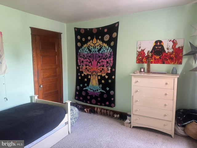 bedroom with carpet flooring