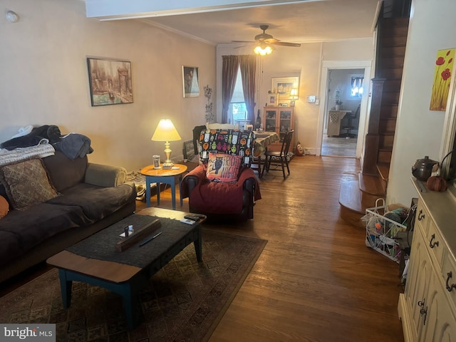 living area featuring wood finished floors, ceiling fan, and ornamental molding