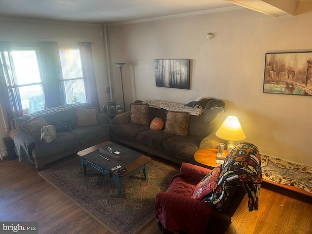 living room with wood finished floors and crown molding