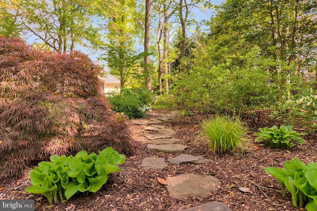 8412 Riverside Rd, Alexandria, VA 22308 - view of yard