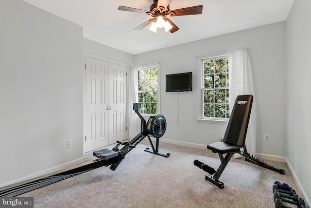 8412 Riverside Rd, Alexandria, VA 22308 - workout room featuring baseboards, ceiling fan, and carpet