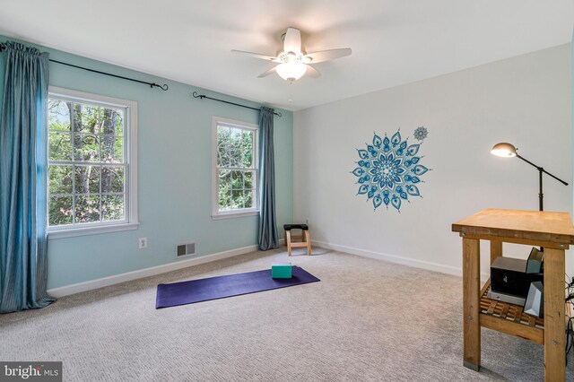 8412 Riverside Rd, Alexandria, VA 22308 - workout room with a ceiling fan, baseboards, and carpet