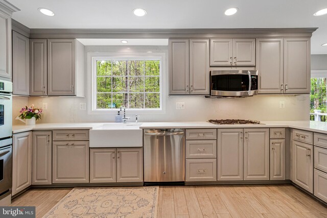 8412 Riverside Rd, Alexandria, VA 22308 - kitchen with appliances with stainless steel finishes, a sink, gray cabinetry, light wood finished floors, and recessed lighting