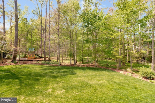 8412 Riverside Rd, Alexandria, VA 22308 - view of green lawn
