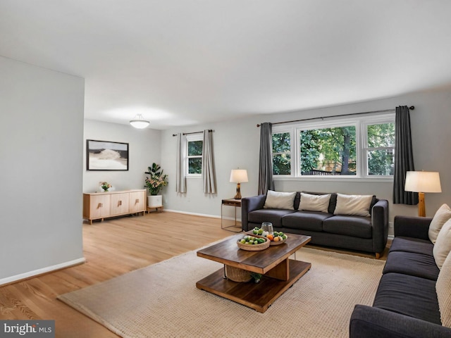 903 Burnt Crest Ln, Silver Spring, MD 20903 - living room with light wood-type flooring and baseboards