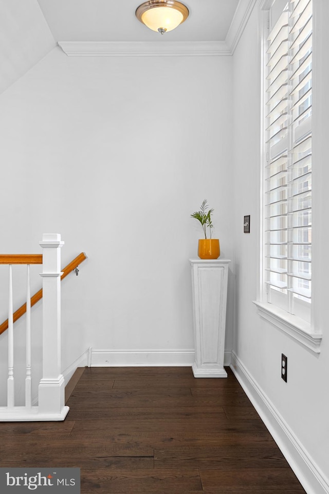 110 Commodore Ct, Philadelphia, PA 19146 - hall with wood finished floors, baseboards, an upstairs landing, and ornamental molding