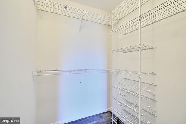 1210 Mist Wood Ct Unit 302, Belcamp, MD 21017 - spacious closet with wood finished floors