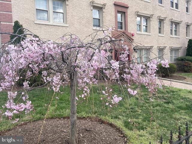 2625 3rd St NE Unit 105, Washington, DC 20002 - exterior view