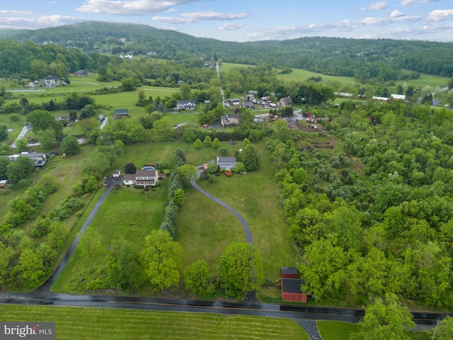 drone / aerial view of a heavily wooded area