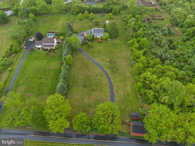 bird's eye view