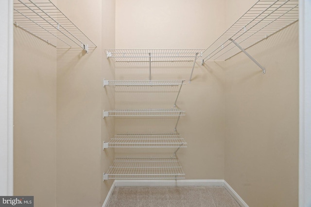19355 Cypress Ridge Ter Unit 414, Leesburg, VA 20176 - walk in closet featuring carpet floors