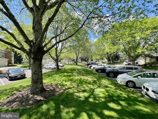 view of grassy yard