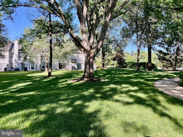 view of green lawn