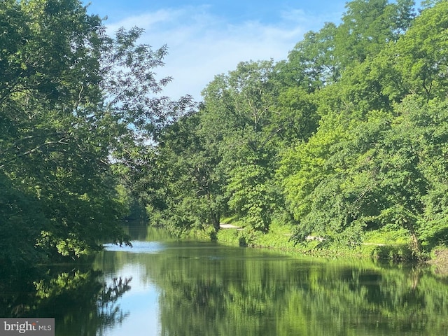 water view with a forest