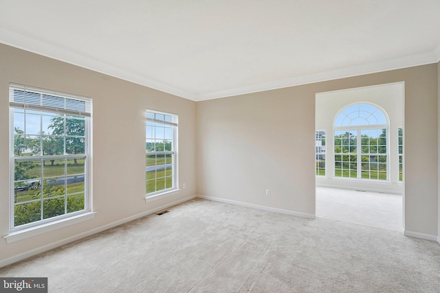42506 Black Talon Ct, Leesburg, VA 20176 - carpeted spare room featuring crown molding, plenty of natural light, and baseboards