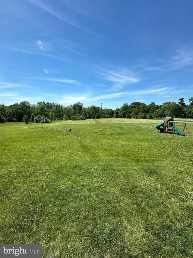 42506 Black Talon Ct, Leesburg, VA 20176 - view of grassy yard
