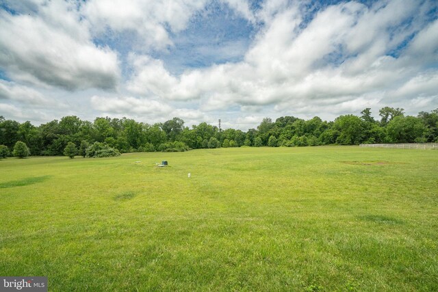 42506 Black Talon Ct, Leesburg, VA 20176 - view of green lawn with view of wooded area