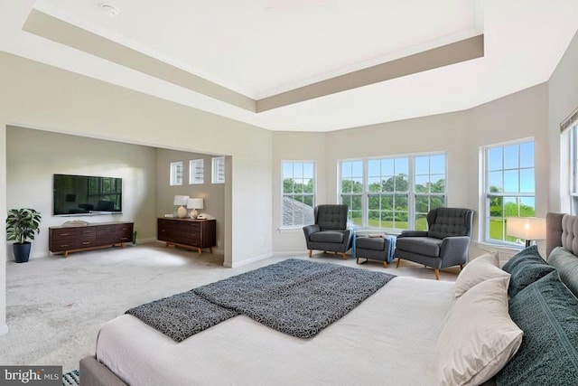 42506 Black Talon Ct, Leesburg, VA 20176 - bedroom with a raised ceiling, carpet, and baseboards