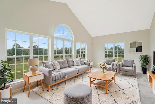 42506 Black Talon Ct, Leesburg, VA 20176 - living area with high vaulted ceiling, healthy amount of natural light, light carpet, and baseboards