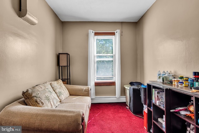 living area featuring dark carpet