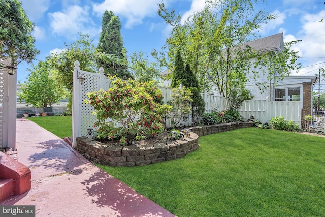 view of yard