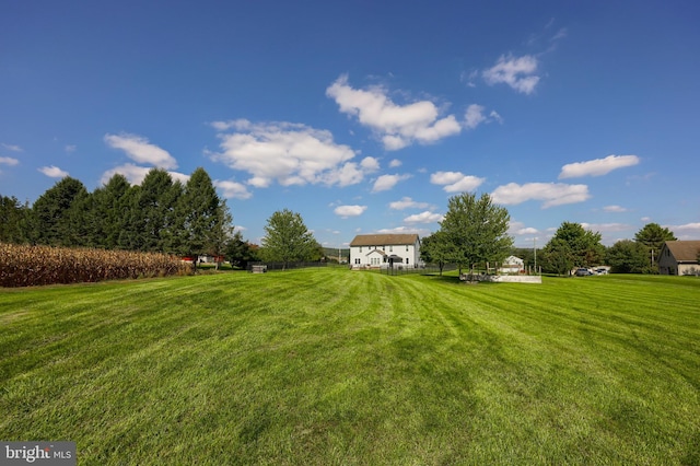 505 W Rte 897, Reinholds, PA 17569 - view of grassy yard