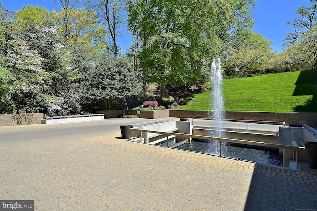 4100 Cathedral Ave NW Unit 818, Washington, DC 20016 - view of community featuring a yard
