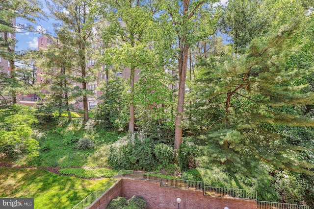 4100 Cathedral Ave NW Unit 818, Washington, DC 20016 - view of yard