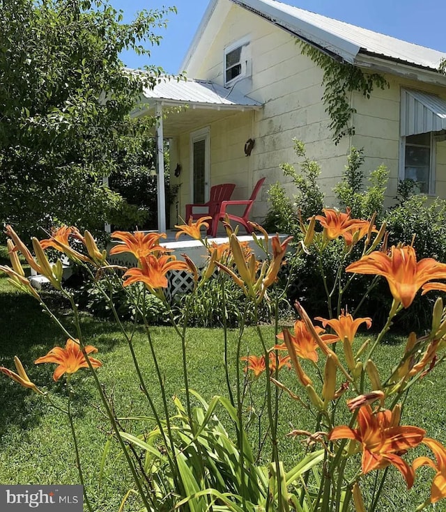 back of property with metal roof and a lawn