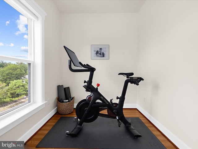 525 Leftwich Ln Unit 78, Annapolis, MD 21401 - workout area featuring wood finished floors and baseboards