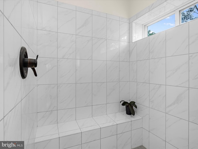 525 Leftwich Ln Unit 78, Annapolis, MD 21401 - full bath with tiled shower