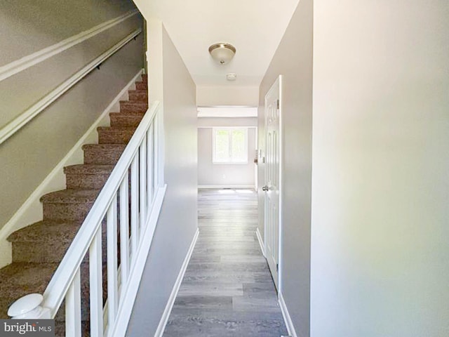 112 Hemlock Dr, Williamstown, NJ 08094 - stairway featuring wood finished floors and baseboards
