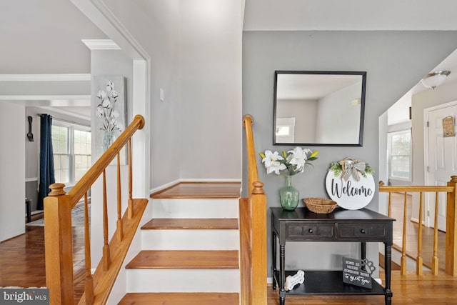stairway featuring wood finished floors