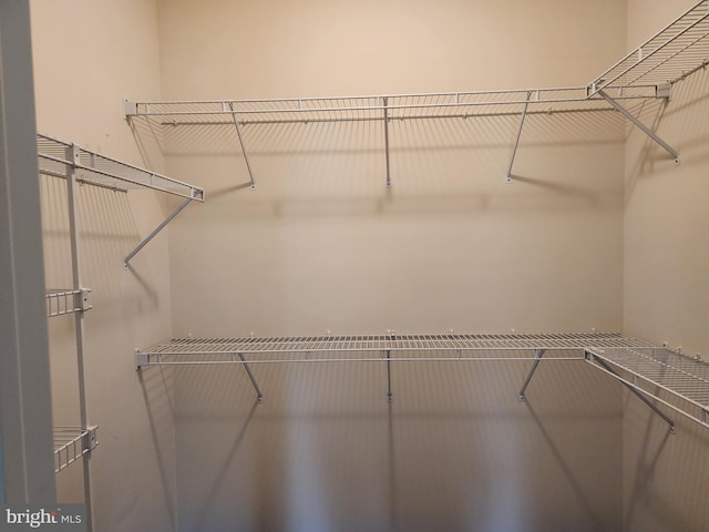16 Lantern Ln, Columbus, NJ 08022 - view of walk in closet