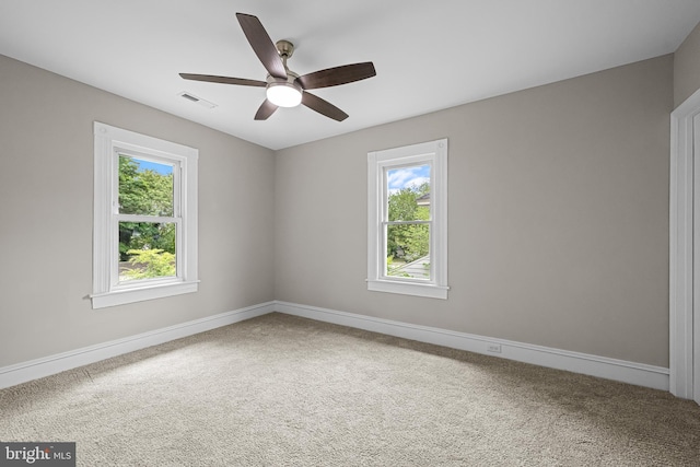 10 E Chestnut St, Delmar, MD 21875 - spare room featuring plenty of natural light, carpet floors, and baseboards