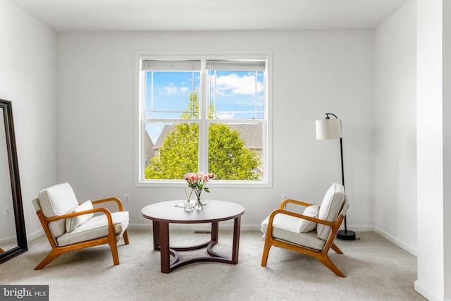 5519 Golden Eagle Rd, Frederick, MD 21704 - living area featuring carpet and baseboards