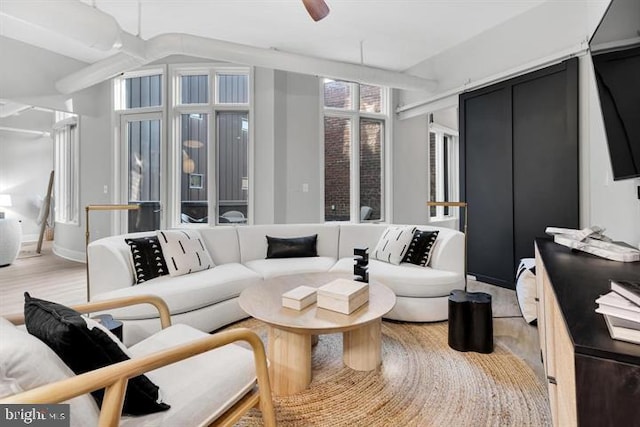 1700 Kalorama Rd NW Unit 310, Washington, DC 20009 - living room featuring light wood-style flooring