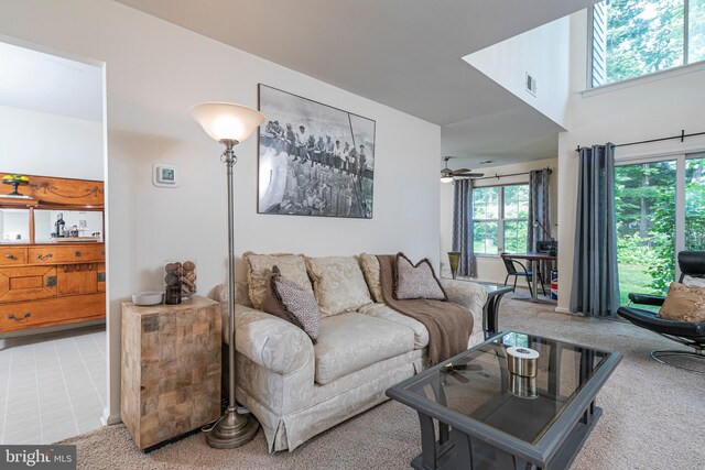 36F Needham Way, Princeton, NJ 08540 - view of carpeted living area