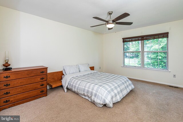 36F Needham Way, Princeton, NJ 08540 - bedroom with light carpet and a ceiling fan
