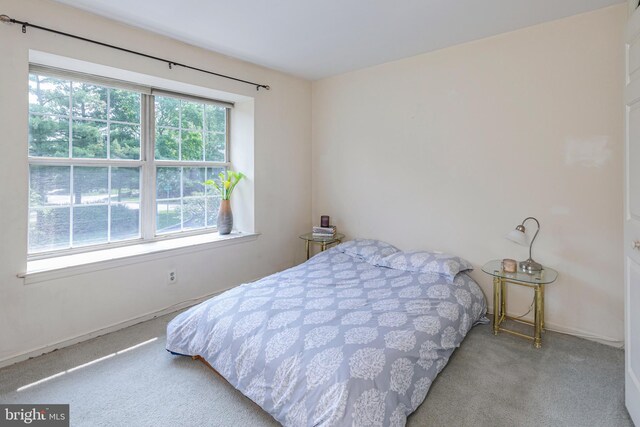 36F Needham Way, Princeton, NJ 08540 - bedroom featuring carpet floors and baseboards