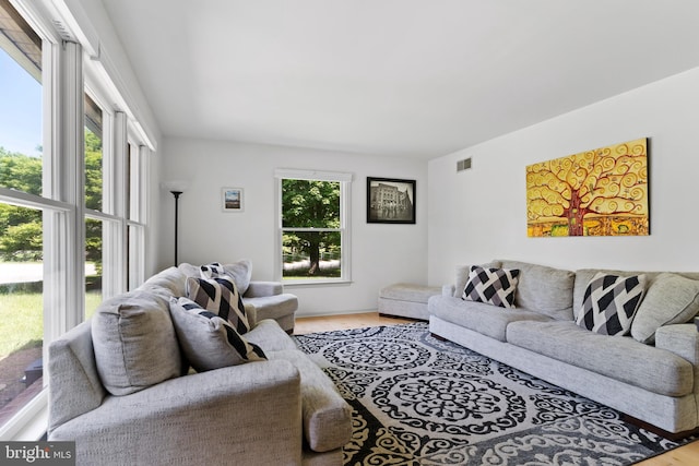 living room featuring wood finished floors