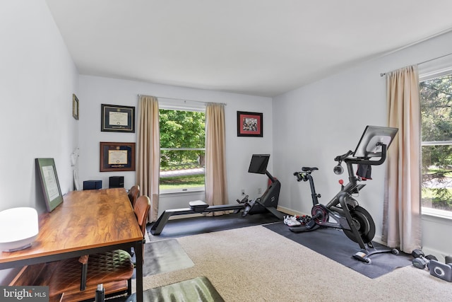 exercise room featuring plenty of natural light and baseboards