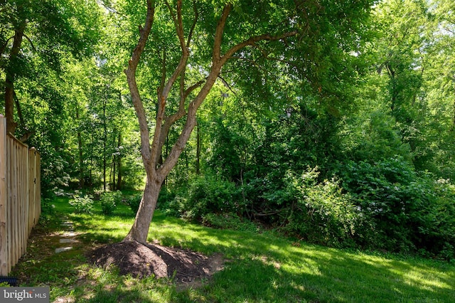 view of yard with a view of trees